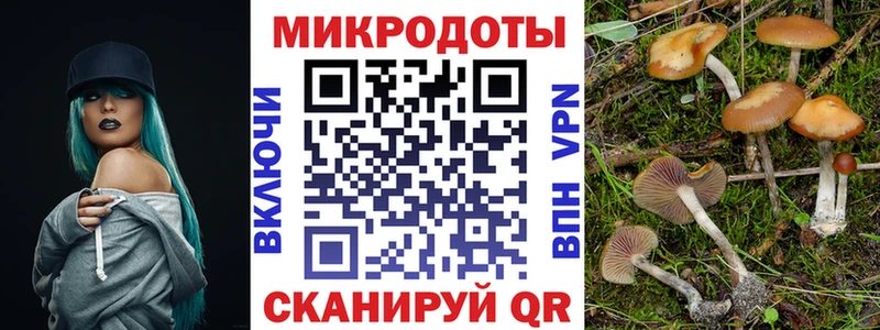 mega tor  Кемь  Галлюциногенные грибы Cubensis 