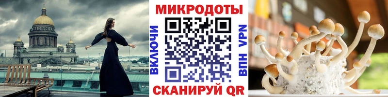 Псилоцибиновые грибы GOLDEN TEACHER Кемь